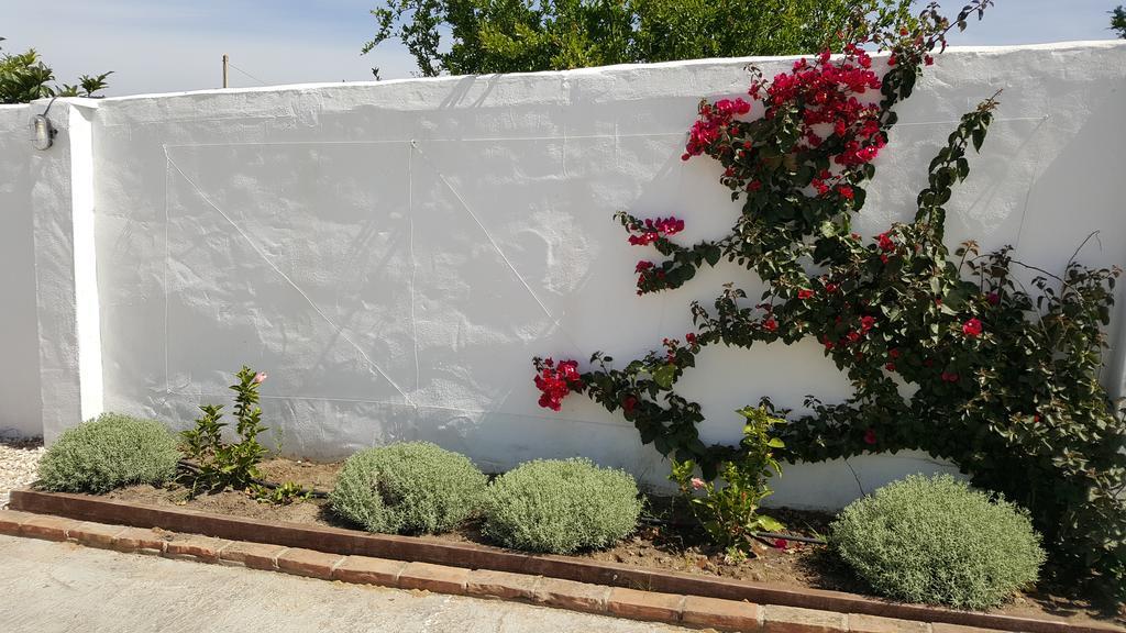 La Posada Del Duende Arcos de la Frontera Exterior photo